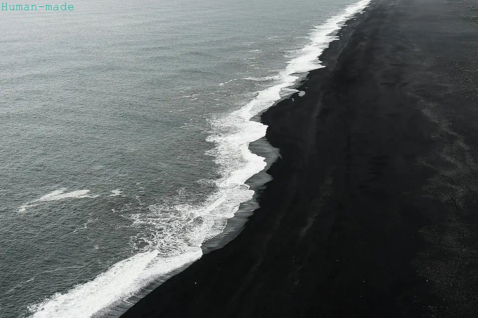 seashore